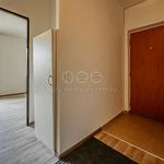 Rent 1 bedroom apartment of 25 m² in Orlová