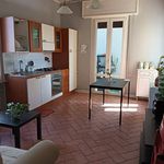 Rent 4 bedroom apartment of 100 m² in Parma