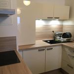 Rent 1 bedroom apartment of 43 m² in Sautron