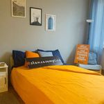 Rent a room in Torino