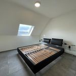 Rent 2 bedroom apartment in Erpe-Mere