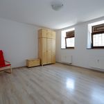 Rent 2 bedroom apartment of 73 m² in Znojmo