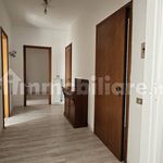 Rent 4 bedroom apartment of 120 m² in Pescara