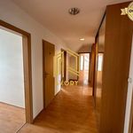 Pronajměte si 1 ložnic/e byt o rozloze 230 m² v Senička
