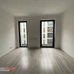 Rent 1 bedroom apartment of 33 m² in Plzeň