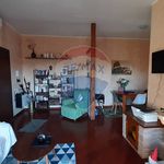 Affitto 2 camera casa di 70 m² in Ladispoli