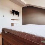 Rent 2 bedroom apartment of 60 m² in Praha
