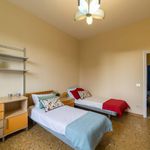 Rent 5 bedroom apartment in Florence