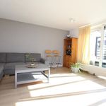 Rent 6 bedroom house of 133 m² in Amsterdam
