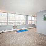 Rent 1 bedroom apartment of 600 m² in Chicago