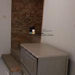 Rent 1 bedroom apartment in Sarrebourg-Château-Salins