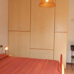Affitto 3 camera appartamento di 65 m² in Castagneto Carducci