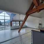 Rent 4 bedroom apartment of 90 m² in Saint-Dié-des-Vosges