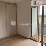 Rent 2 bedroom apartment of 45 m² in Zbuch