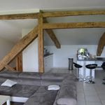 Rent 4 bedroom house of 160 m² in Albi