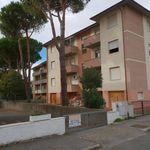 Affitto 3 camera appartamento di 60 m² in Rosignano Marittimo