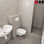 Rent 2 bedroom apartment of 32 m² in Brno