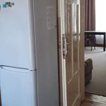 Rent 2 bedroom apartment of 75 m² in Cracow