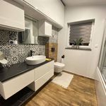 Rent 1 bedroom apartment of 80 m² in Bukowno