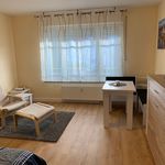 Rent 1 bedroom apartment of 25 m² in Rösrath