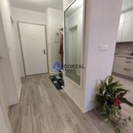 Rent 2 bedroom apartment of 50 m² in Senička