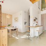 Rent 5 bedroom house of 240 m² in Arnhem