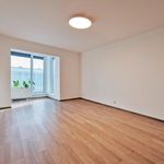 Rent 2 bedroom apartment of 65 m² in Brno