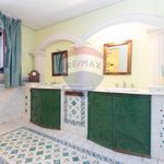 Rent 3 bedroom house of 115 m² in Mascalucia