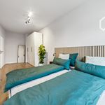 Rent 2 bedroom apartment of 60 m² in Leipzig