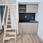 Rent 1 bedroom apartment of 19 m² in Jáchymov