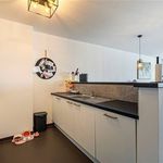 Rent 1 bedroom apartment in Heist-op-den-Berg