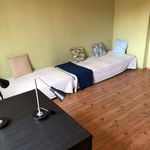 Rent 3 bedroom apartment in wroclaw