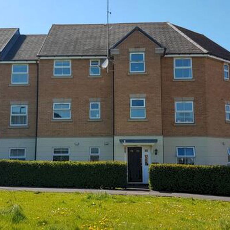 2 Bedroom Apartment To Rent In Flaxdown Gardens, Coton Meadows, Rugby, CV23 Brownsover