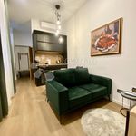 Rent 1 bedroom apartment of 24 m² in Rijeka