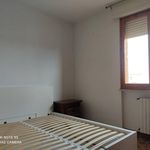 Rent 2 bedroom apartment of 100 m² in Livorno