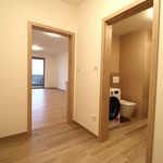 Rent 1 bedroom apartment of 35 m² in Slany