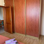 Rent 1 bedroom apartment of 34 m² in Číhošť
