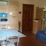 Affitto 2 camera appartamento di 40 m² in Florence
