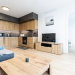 Rent 2 bedroom apartment of 50 m² in Jáchymov