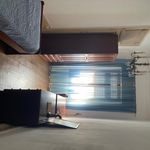 Rent 7 bedroom house in Porto