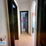 Rent 2 bedroom apartment of 65 m² in Pomezia