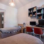 Rent a room of 305 m² in Cologno Monzese