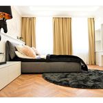 Rent 1 bedroom apartment of 35 m² in Praha