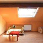 Rent 1 bedroom apartment of 32 m² in Bruxelles