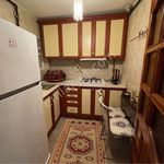 Rent 1 bedroom apartment of 35 m² in İnönü