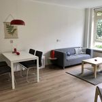 Rent 2 bedroom apartment of 61 m² in Utrecht