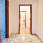 Affitto 5 camera appartamento di 150 m² in L'Aquila