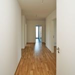 Rent 4 bedroom apartment of 134 m² in Dresden