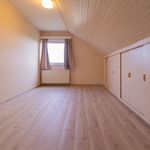 Rent 5 bedroom house of 250 m² in Kortenberg