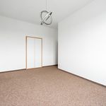 Rent 3 bedroom apartment of 78 m² in Plzeň